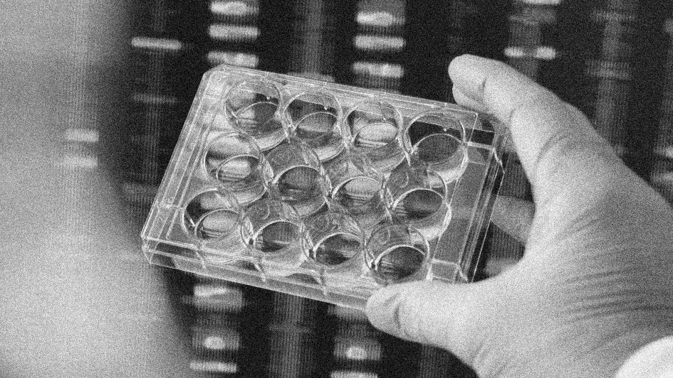 6- Moleküler Araştırmalar Laboratuvarı