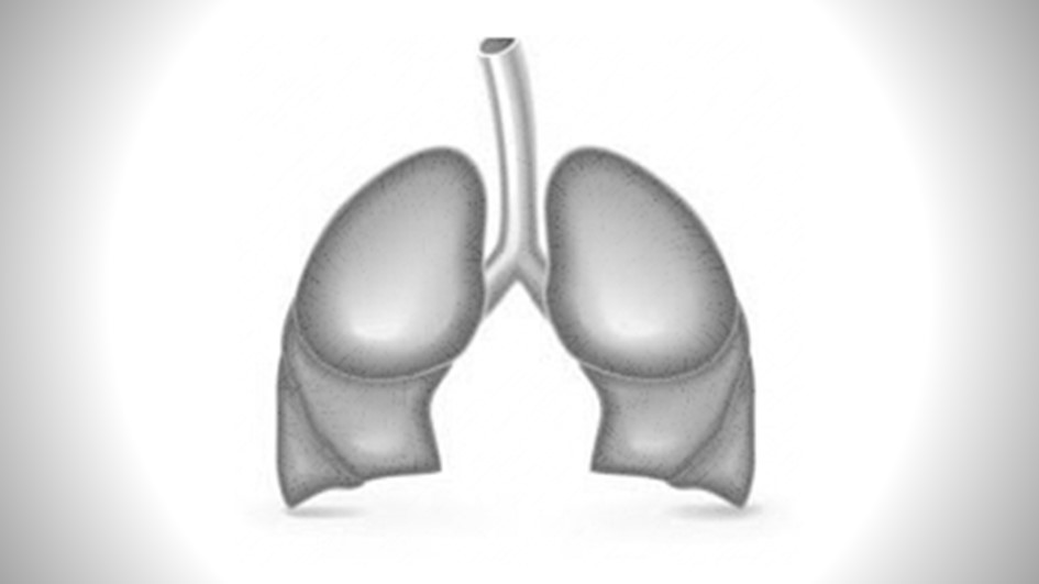 Solunum Fizyolojisi Pratikleri