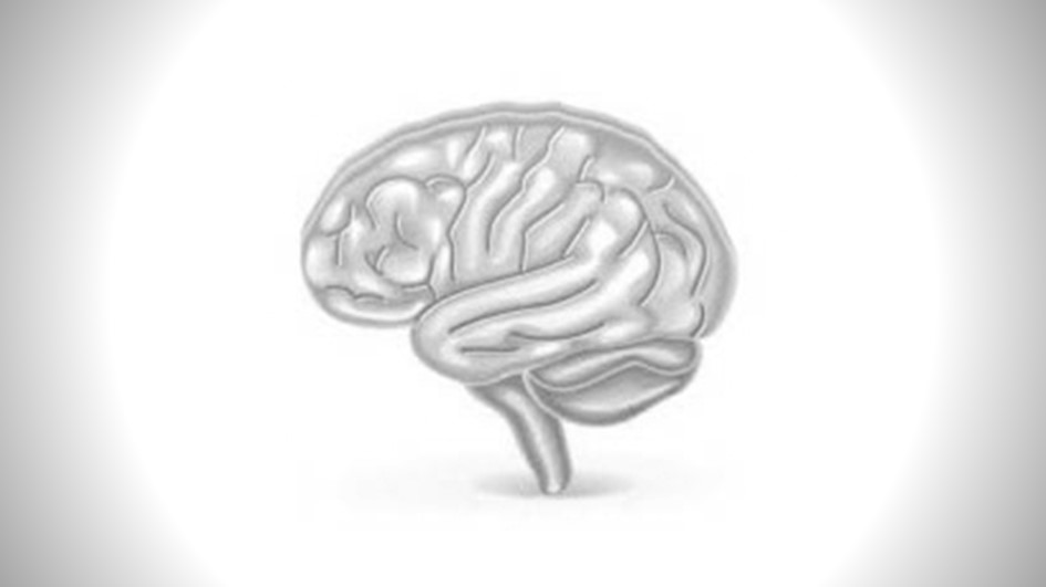 Sinir Fizyolojisi Pratikleri