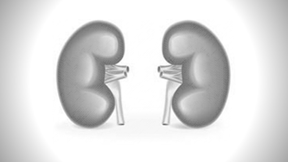 Boşaltım Fizyolojisi Pratikleri