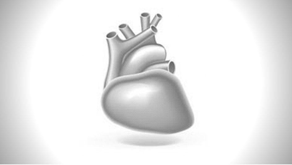 Dolaşım Fizyolojisi Pratikleri