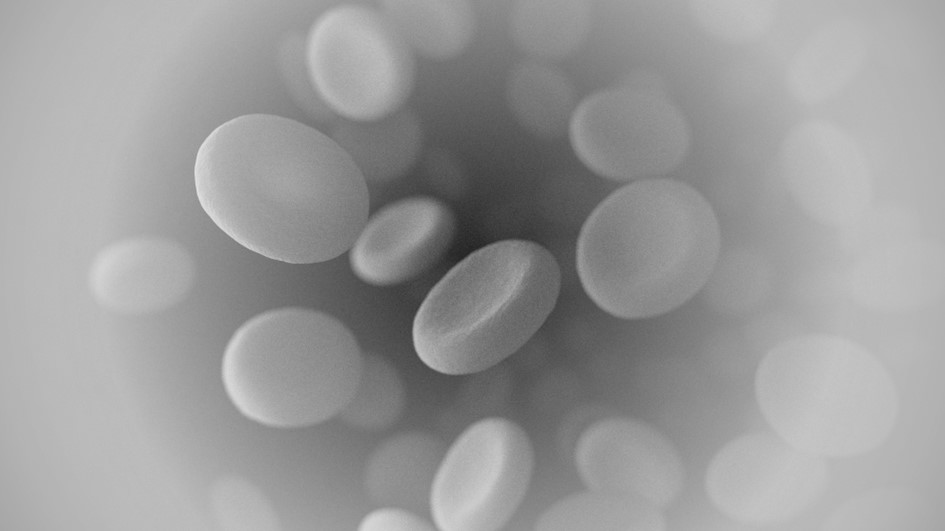 Kan Fizyolojisi Pratikleri