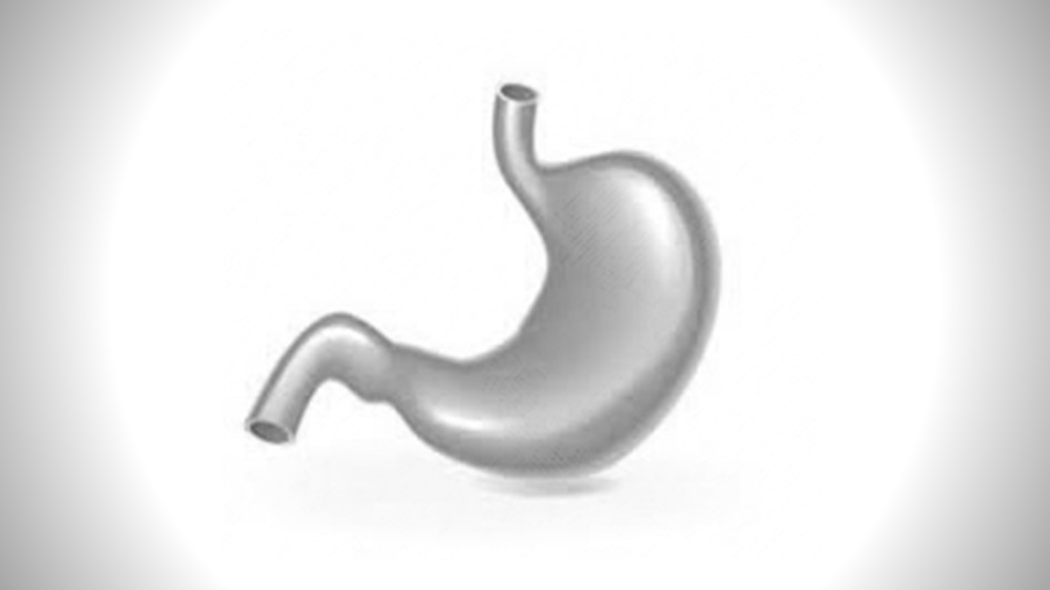 Sindirim Fizyolojisi Pratikleri